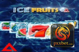 PXXBET ajuda online — chat de suporte no aplicativo oficial