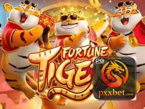 Guia install APK PXXBET BR