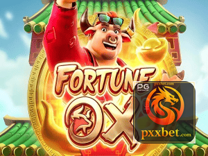 PXXBET login — painel de entrada no app oficial