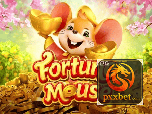PXXBET login — configurações de segurança e proteção de conta